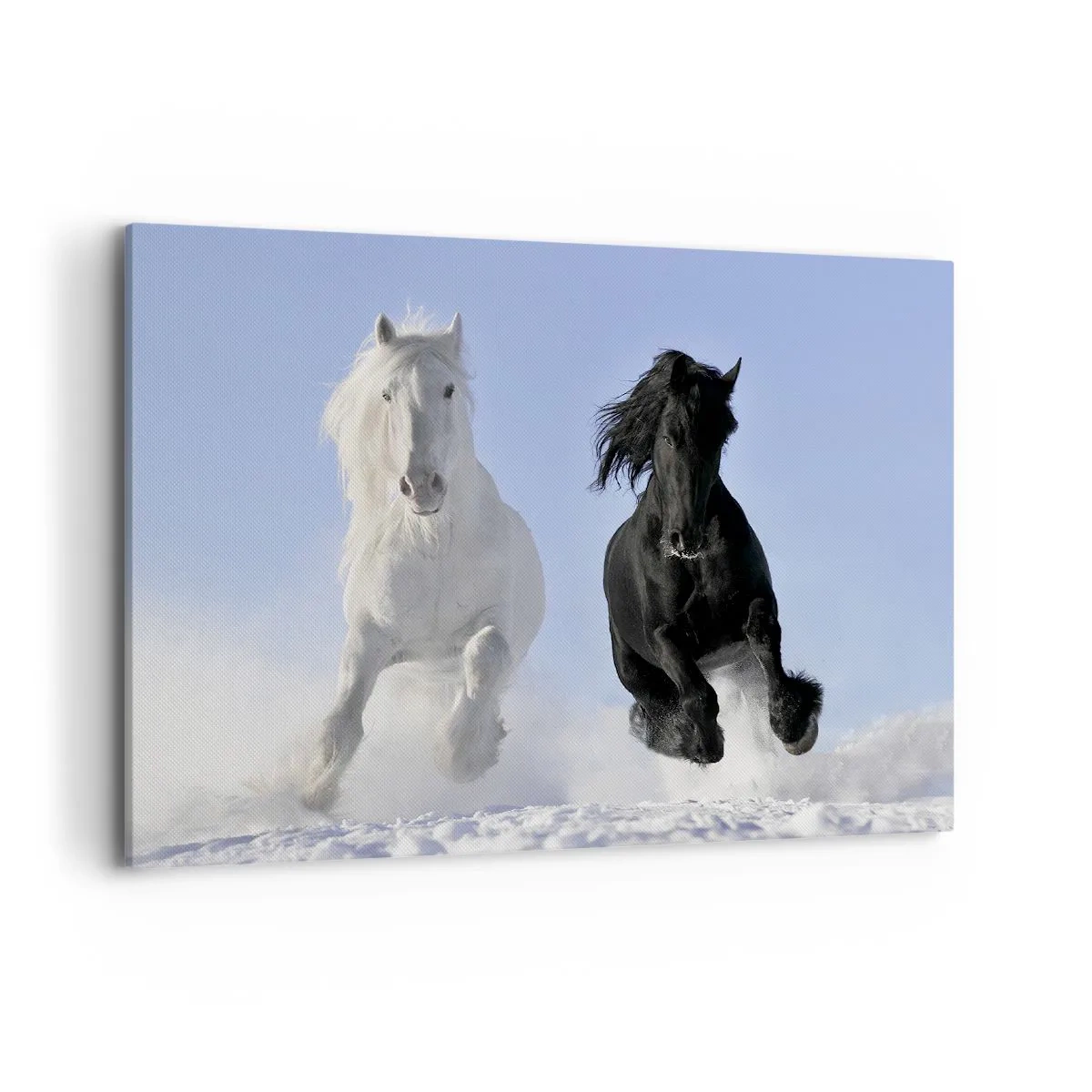 Lærredstryk - Billede på lærred - Sort og hvid galop - 100x70 cm