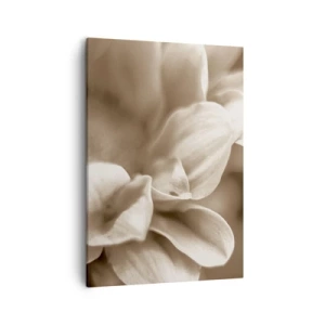 Lærredstryk - Billede på lærred - Blid som et smil - 50x70 cm