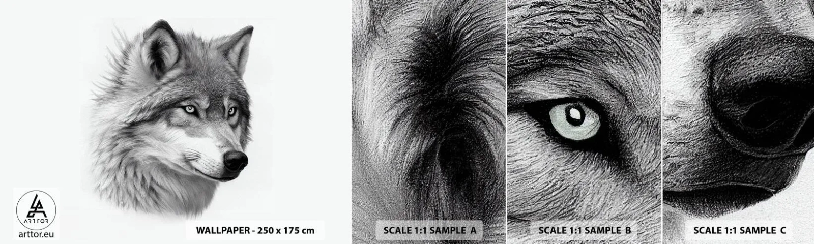 Prøve Fototapet Selvklæbende Deluxe Sticker - Alpha - uden tvivl - Ulv, Dyr, skandinavisk - 100x30 cm