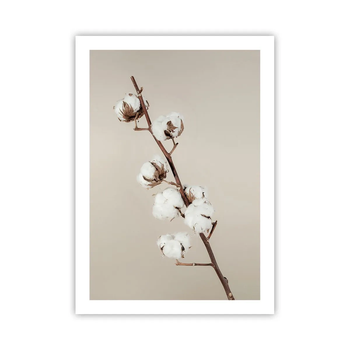 Plakat - Ved kilden til blødhed - 50x70 cm