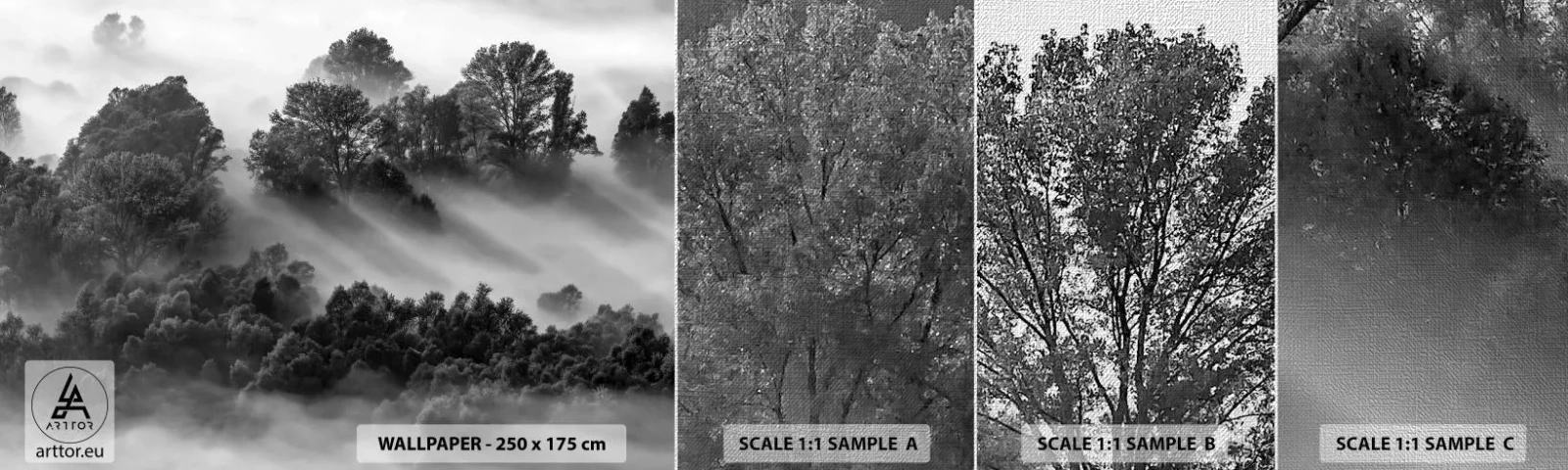 Prøve Fototapet Premium Canvas - At vågne fra søvnen - Landskab, Skov, Tåge - 100x30 cm