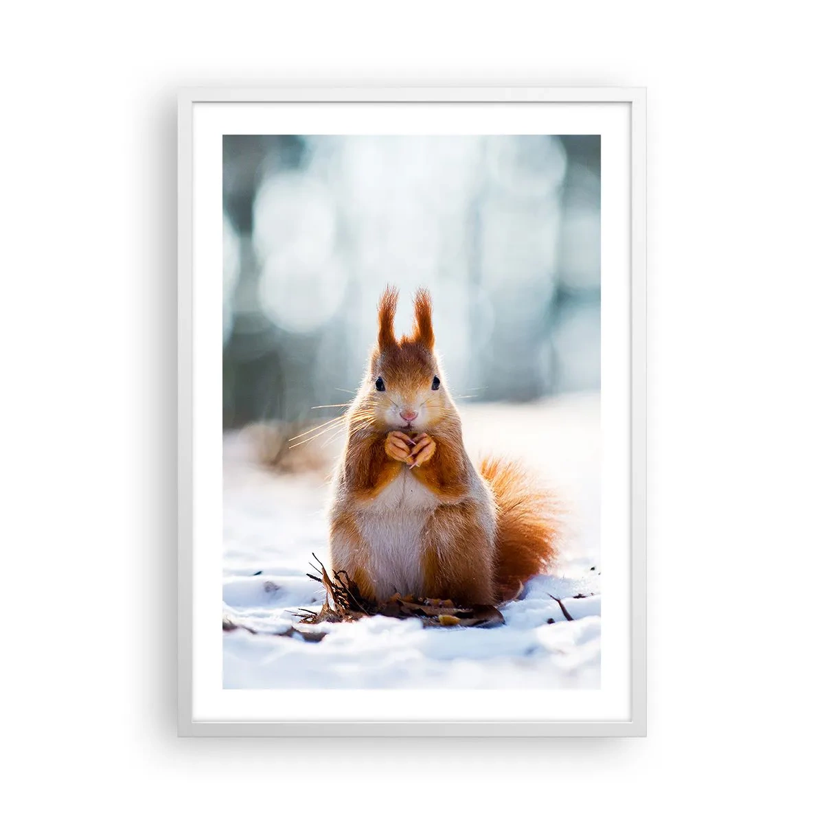 Plakat i hvid ramme - Og hvad kigger du på? - 50x70 cm