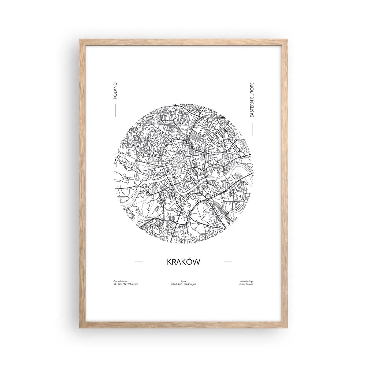 Plakat i ramme af lyst egetræ - Krakows anatomi - 50x70 cm