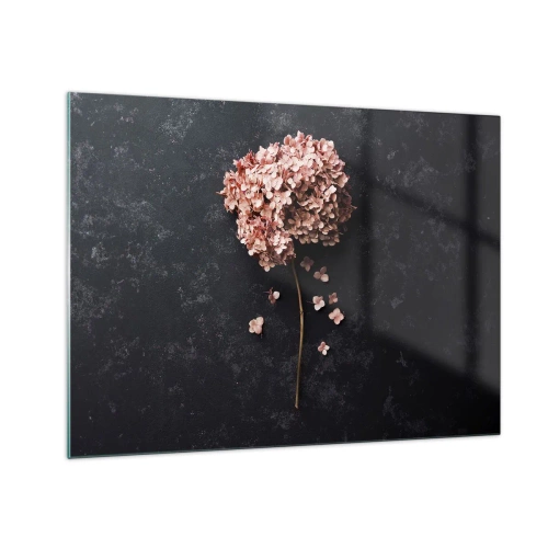 Billede på glas - Tør hortensia med spredte kronblade på en mørk baggrund - 70x50cm - Et virkelig romantisk tegn - Moderne vægdekoration til stue og soveværelse ARTTOR