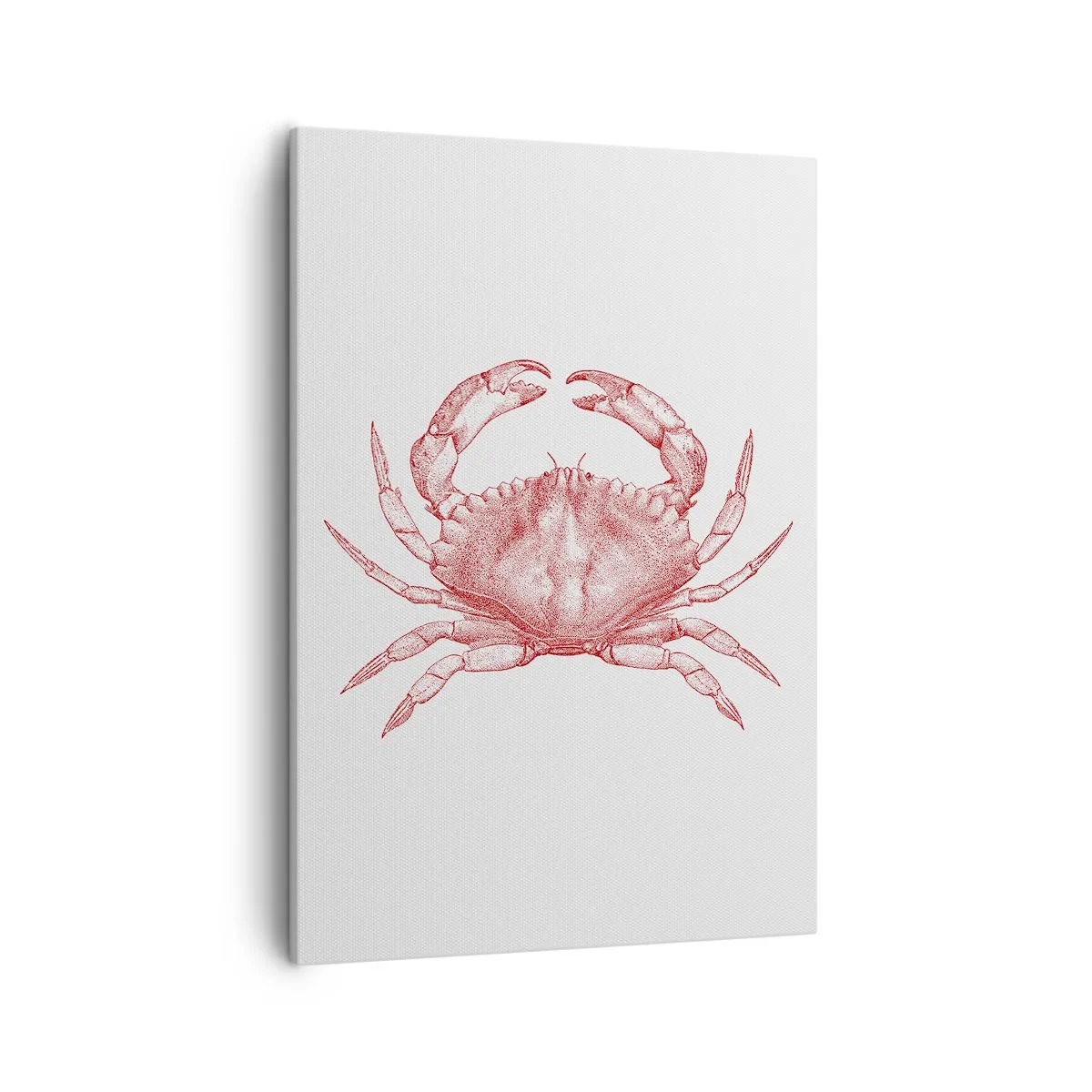 Lærredstryk - Billede på lærred - Krabbe over krabber - 50x70 cm