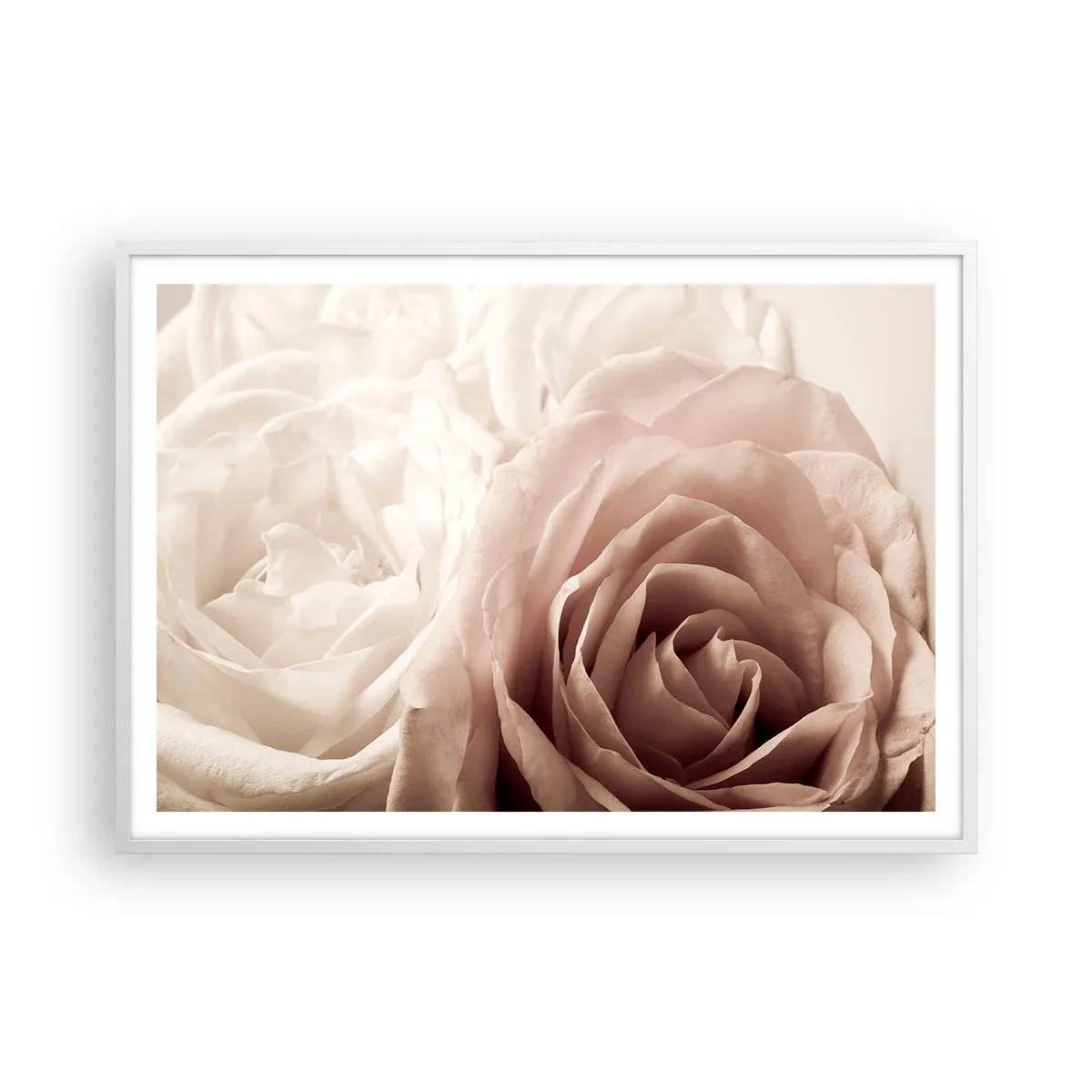 Plakat i hvid ramme - I rosens hjerte - 100x70 cm
