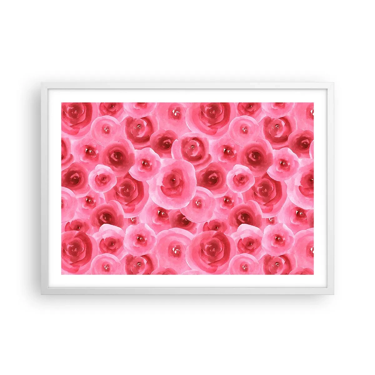 Plakat i hvid ramme - Roser under og over - 70x50 cm