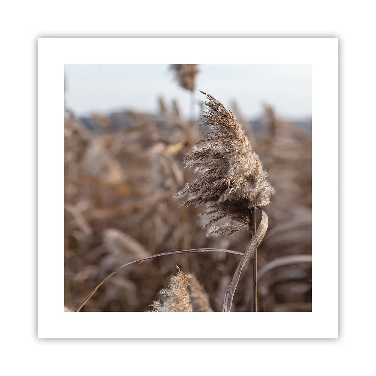 Plakat - Tid til at flyve væk med vinden - 40x40 cm