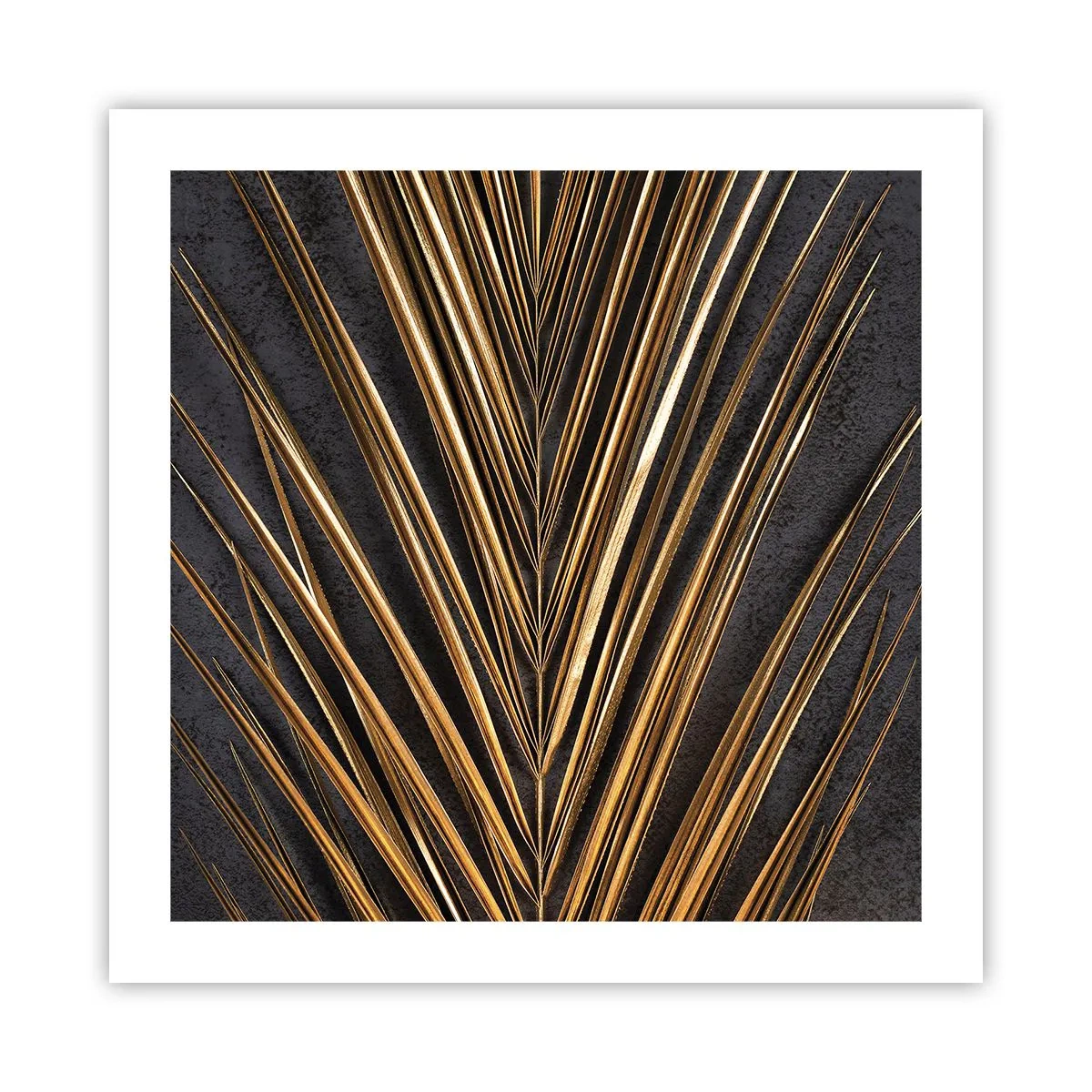 Plakat - Tropernes guld - 50x50 cm