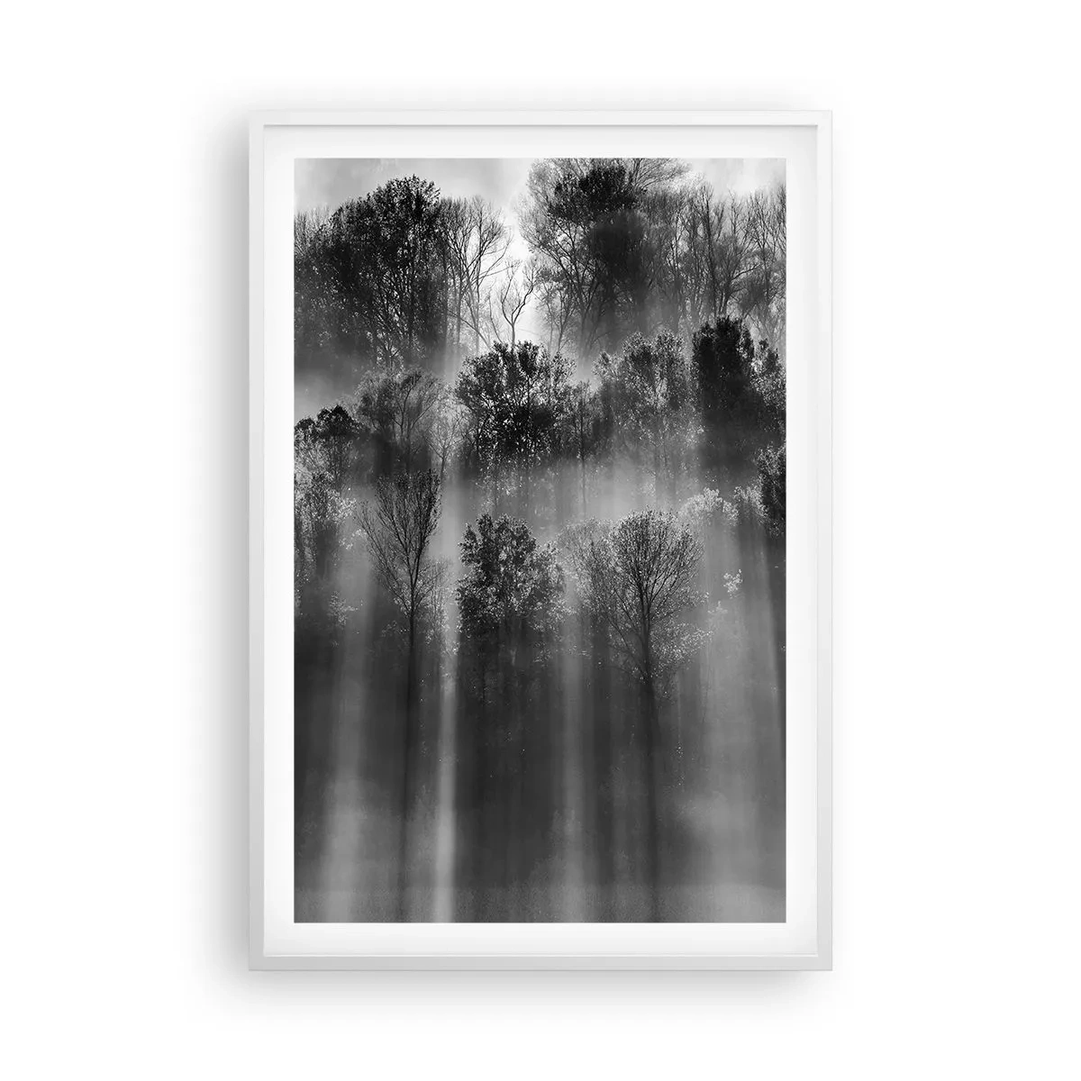 Plakat i hvid ramme - I stråler af lys - 61x91 cm