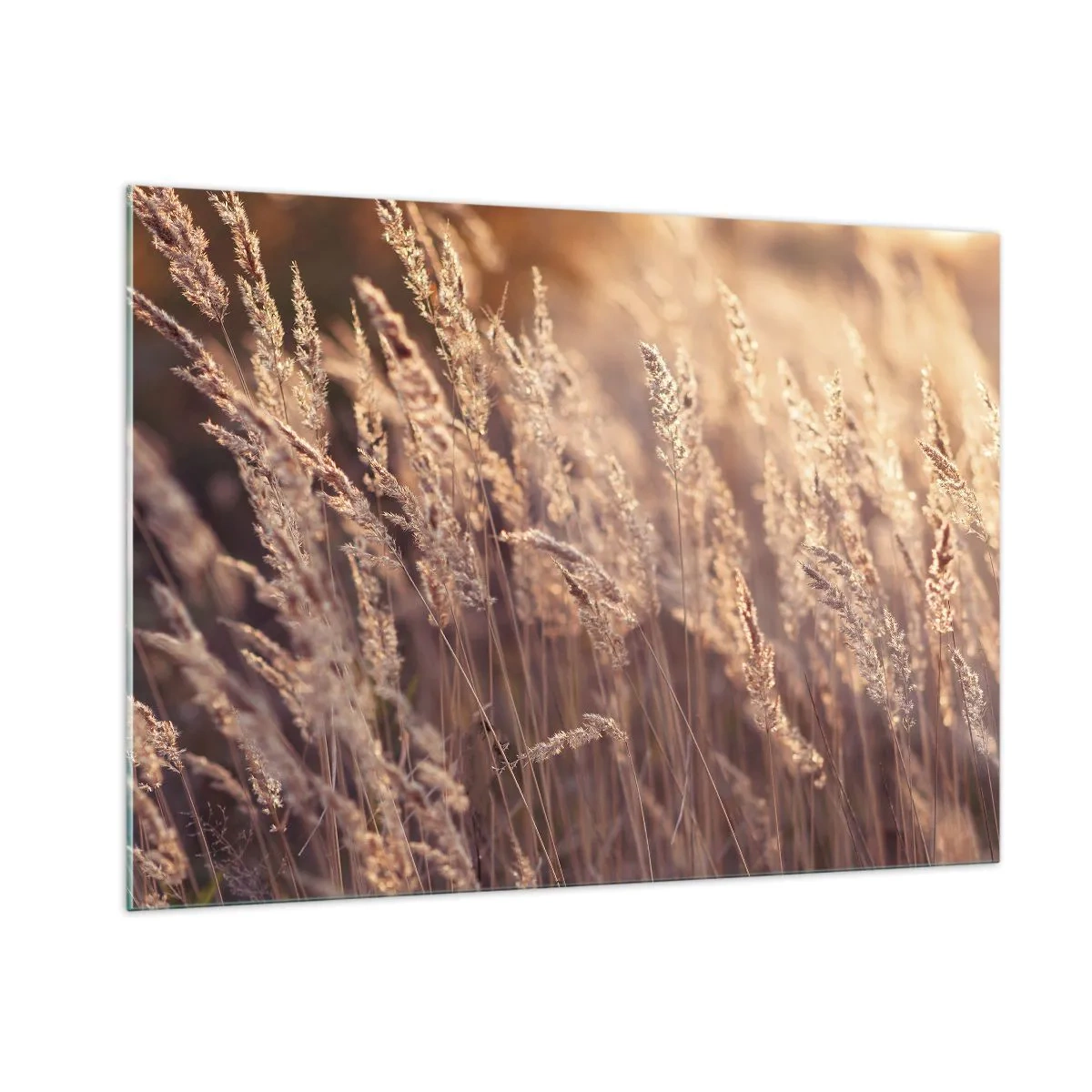 Billede på glas - Klar til at byde efteråret velkommen - 100x70 cm