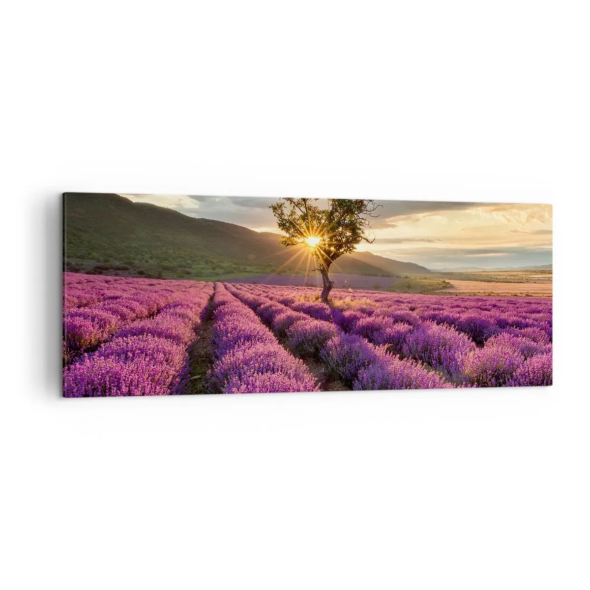 Lærredstryk - Billede på lærred - Lilla aroma - 140x50 cm