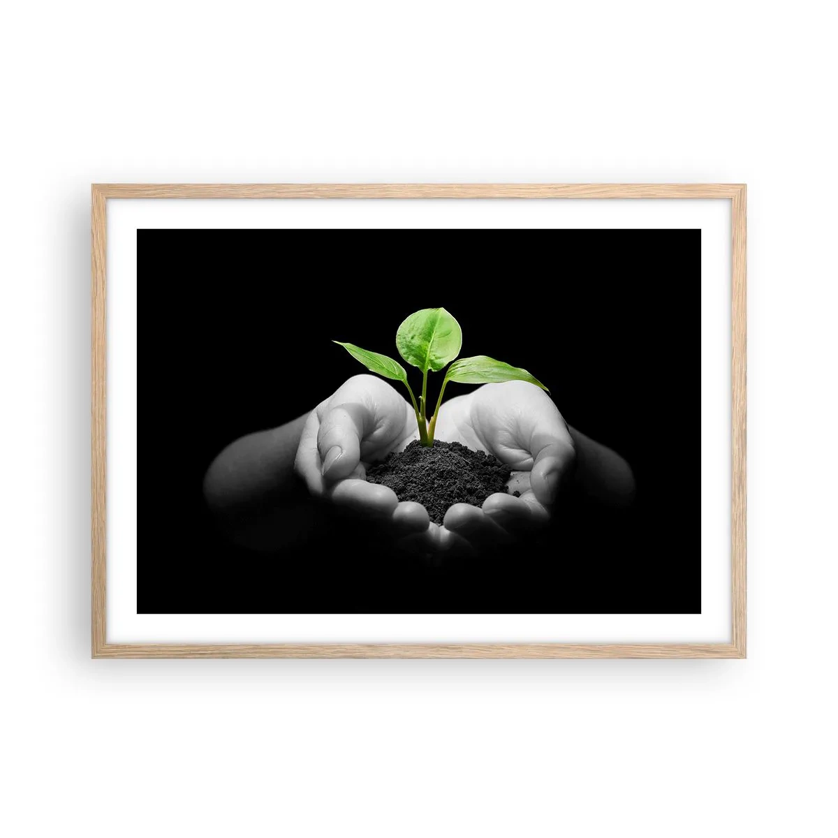 Plakat i ramme af lyst egetræ - Jeg elsker naturen, jeg beskytter den - 70x50 cm