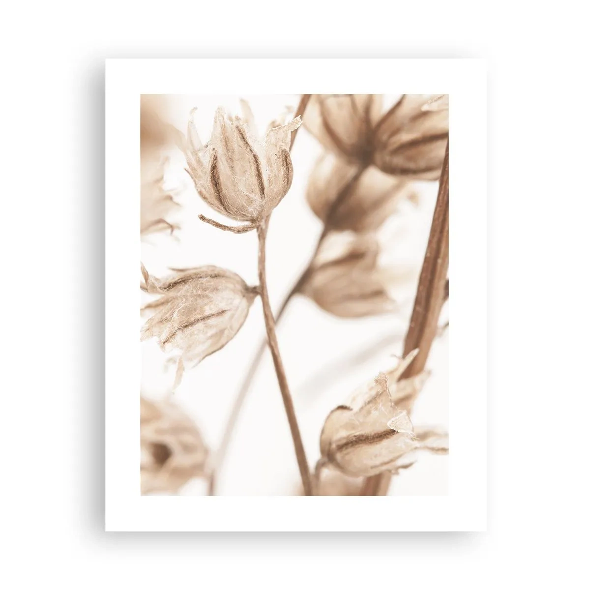 Plakat - De kalder på slutningen af sommeren - 40x50 cm