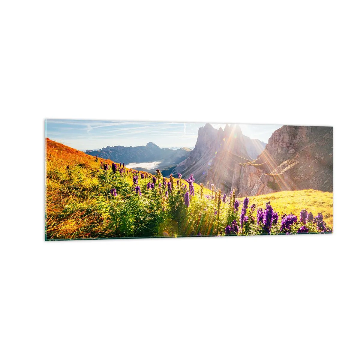 Billede på glas - Urternes hemmelige liv - 140x50 cm