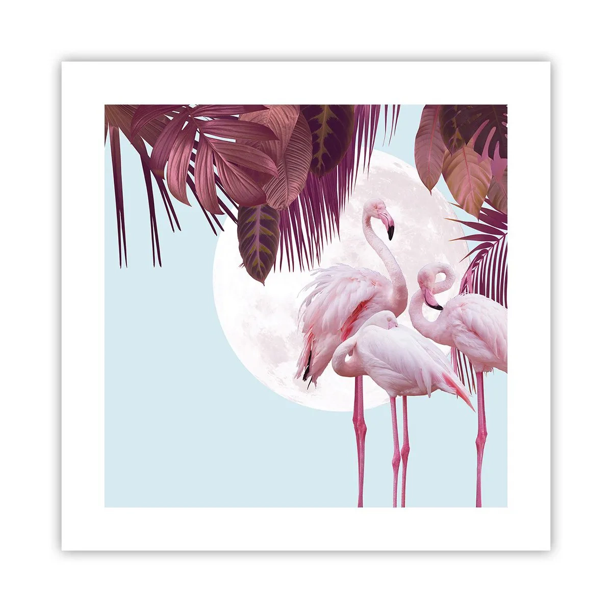 Plakat - Tre fugles ynde - 40x40 cm