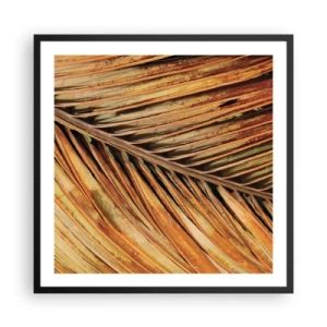 Plakat i sort ramme - Kokosnød guld - 60x60 cm