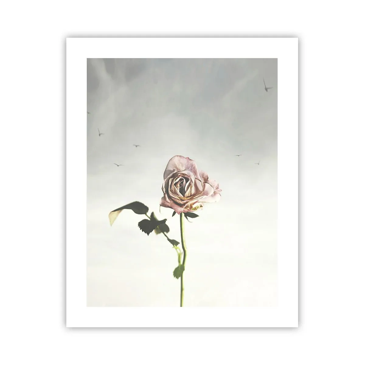 Plakat - Velkomst til foråret - 40x50 cm