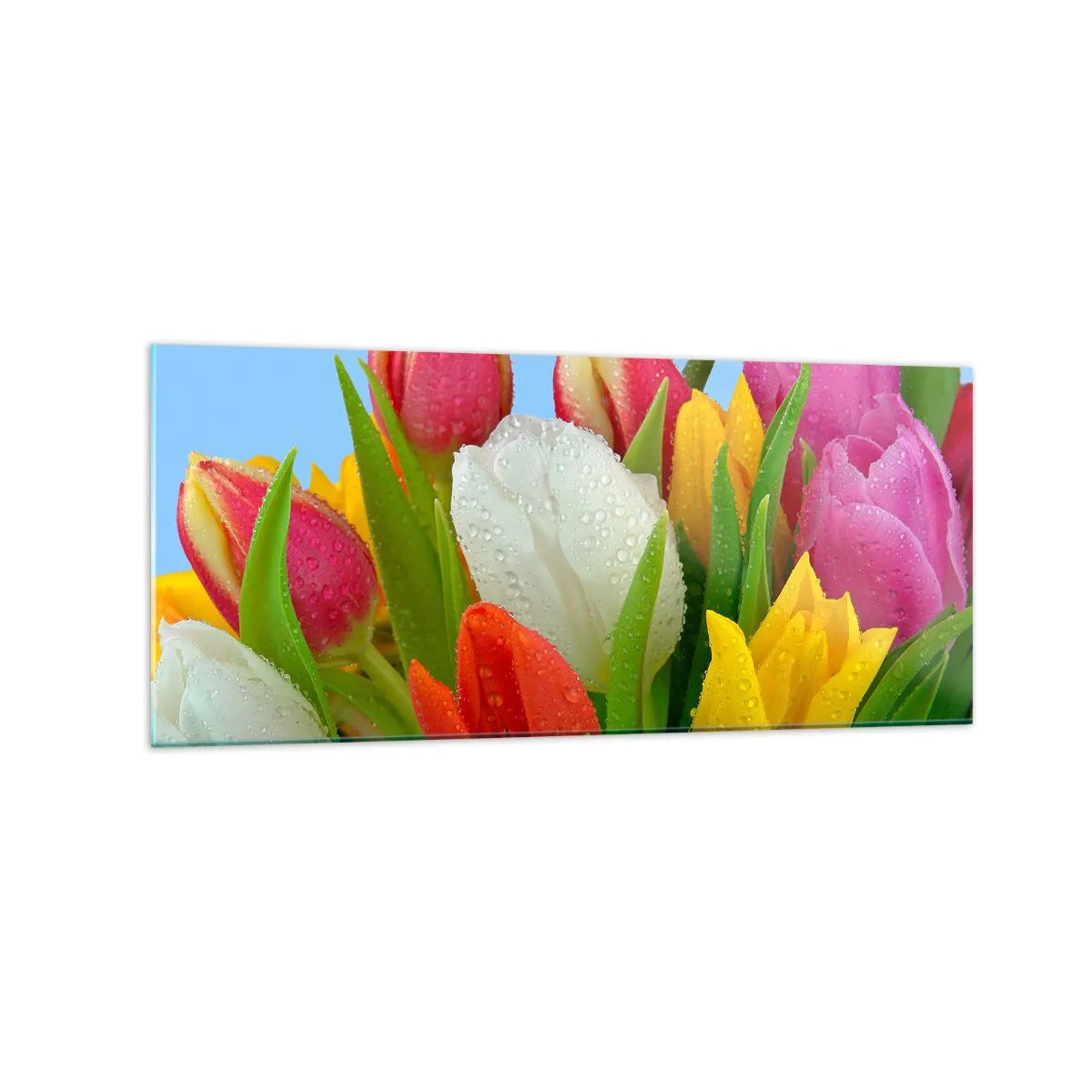 Billede på glas - En blomstret regnbue i dugdråber - 120x50 cm