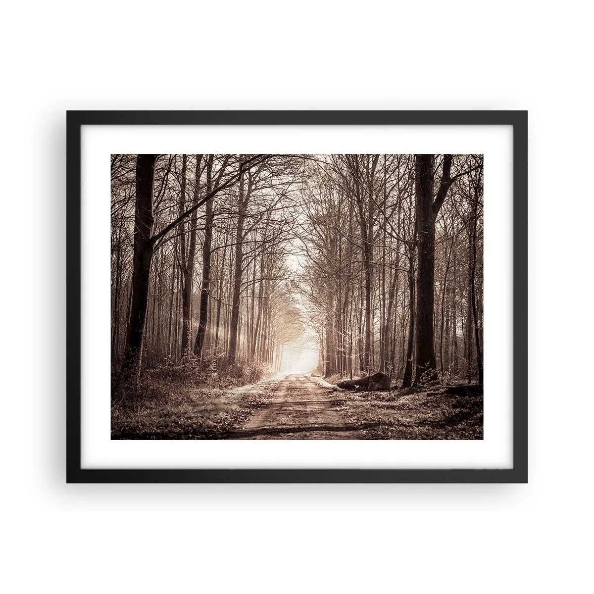 Plakat i sort ramme - Skovkatedralen - 50x40 cm