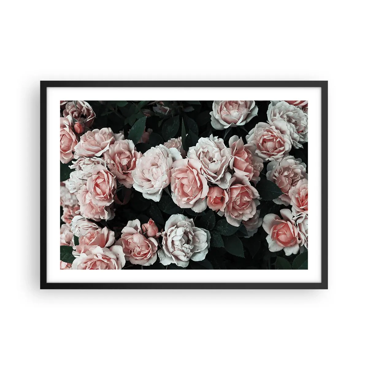 Plakat i sort ramme - Lyserød ansamble - 70x50 cm