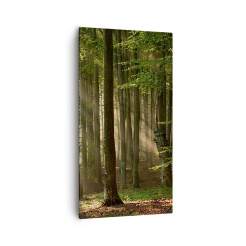Lærredstryk - Billede på lærred - Strålende på en forårsmorgen - 55x100 cm