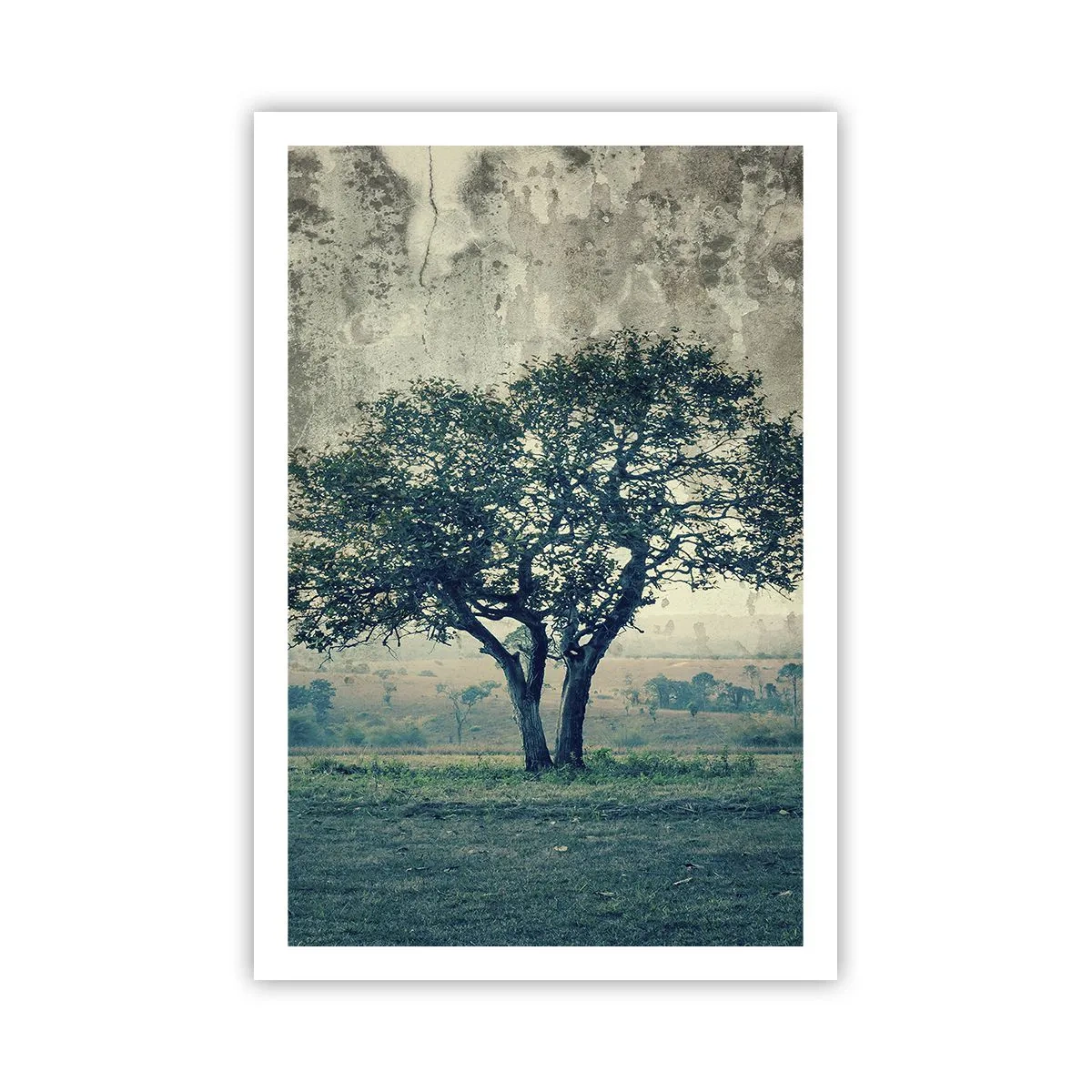 Plakat - Et æbletræ på en blå membran? - 61x91 cm