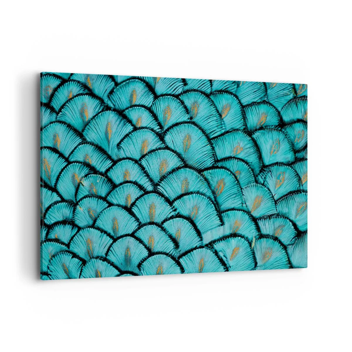 Lærredstryk - Billede på lærred - Den store fjer-galla - 100x70 cm
