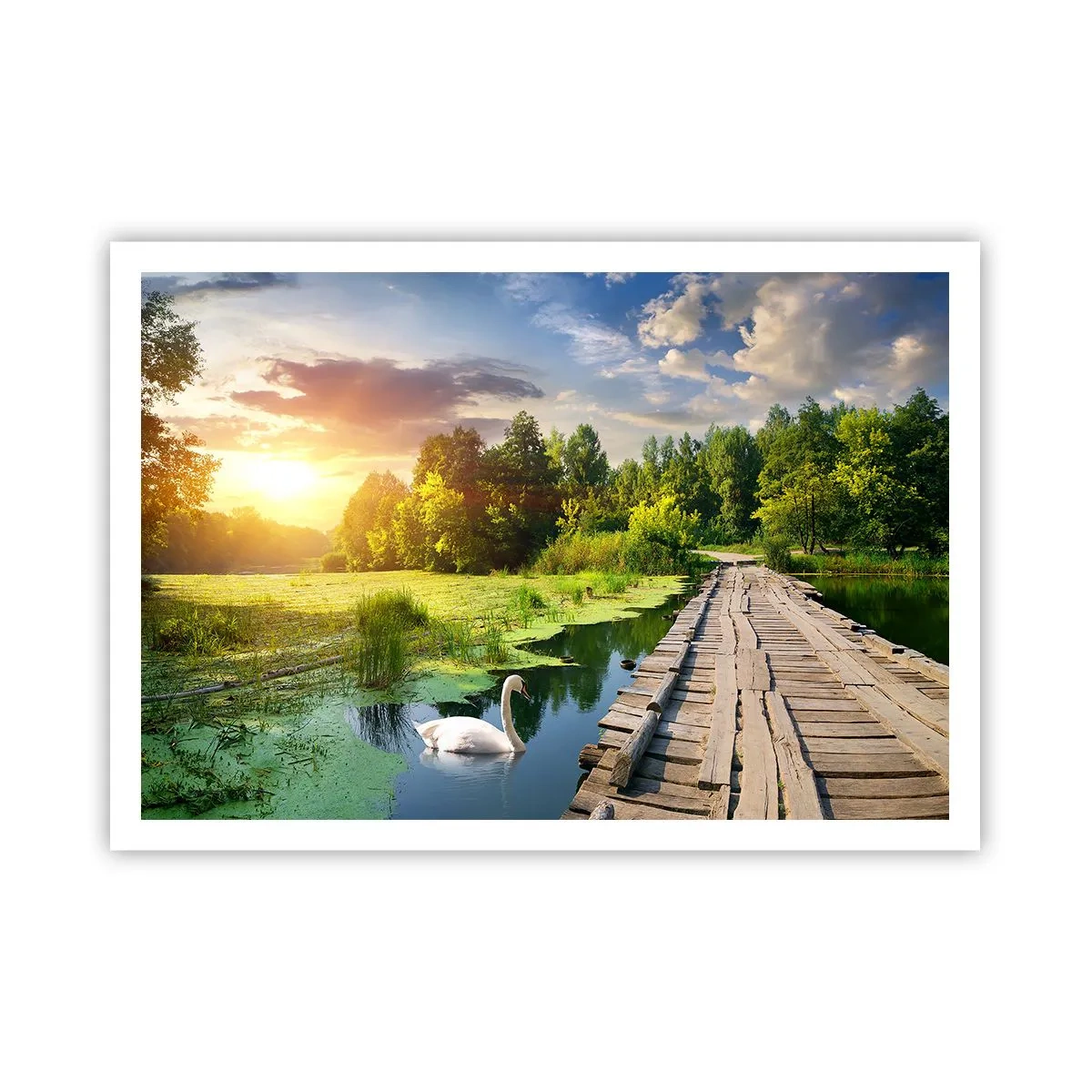 Plakat - Sommer, sommer overalt - 100x70 cm