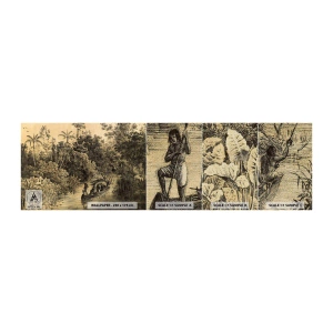 Prøve Fototapet Premium Canvas - Rejsen til kilden - Jungle, Amazonia, Troperne - 100x30 cm