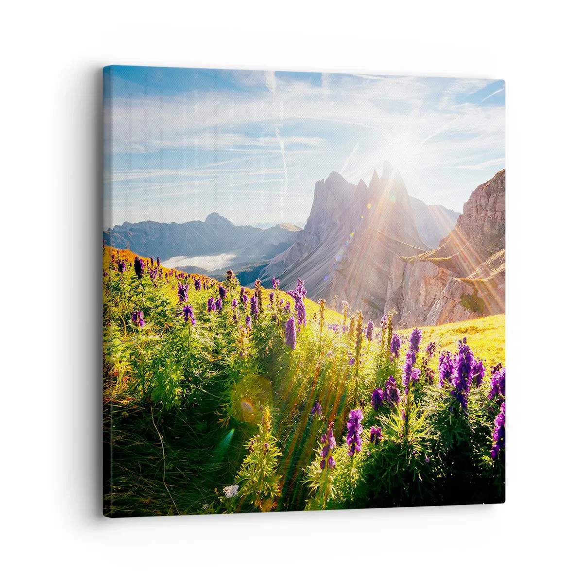 Lærredstryk - Billede på lærred - Urternes hemmelige liv - 30x30 cm