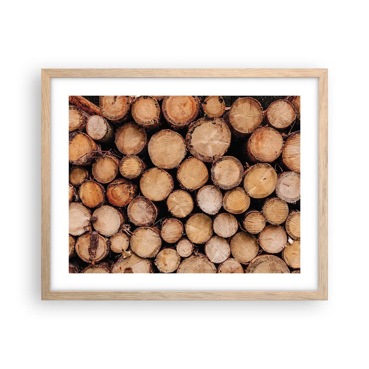 Plakat i ramme af lyst egetræ - En ny begyndelse - 50x40 cm