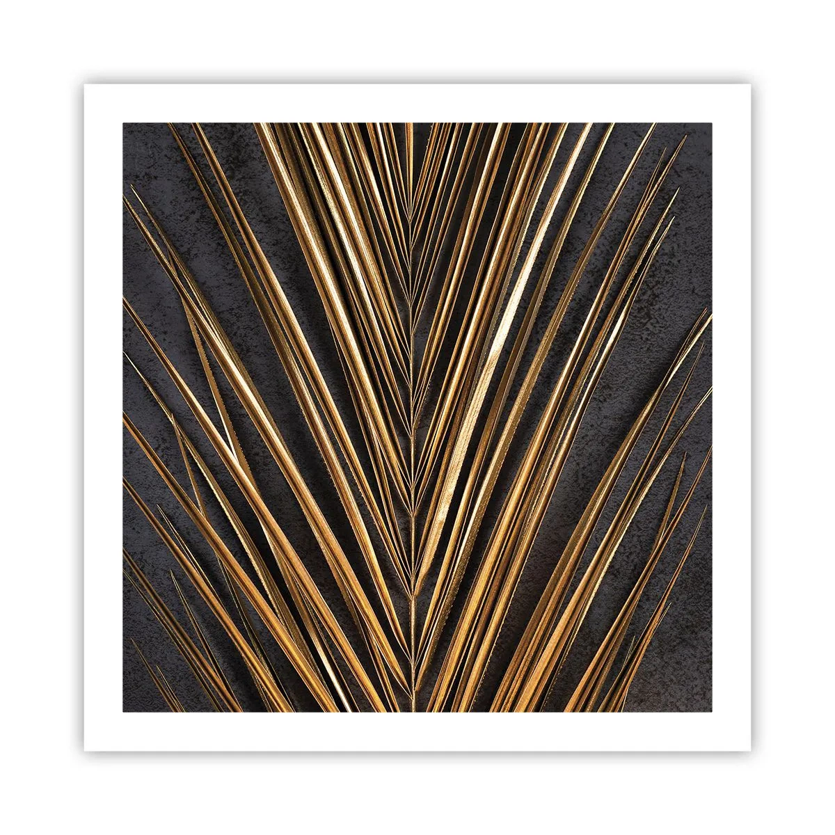 Plakat - Tropernes guld - 60x60 cm