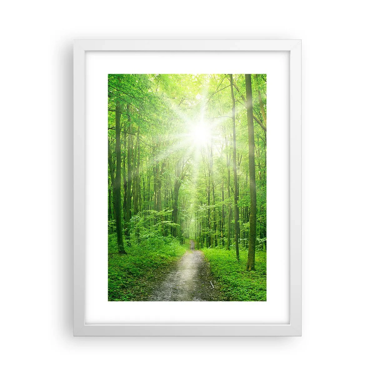 Plakat i hvid ramme - Grøn katedral - 30x40 cm