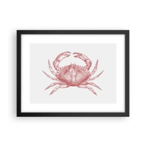 Plakat i sort ramme - Krabbe over krabber - 40x30 cm