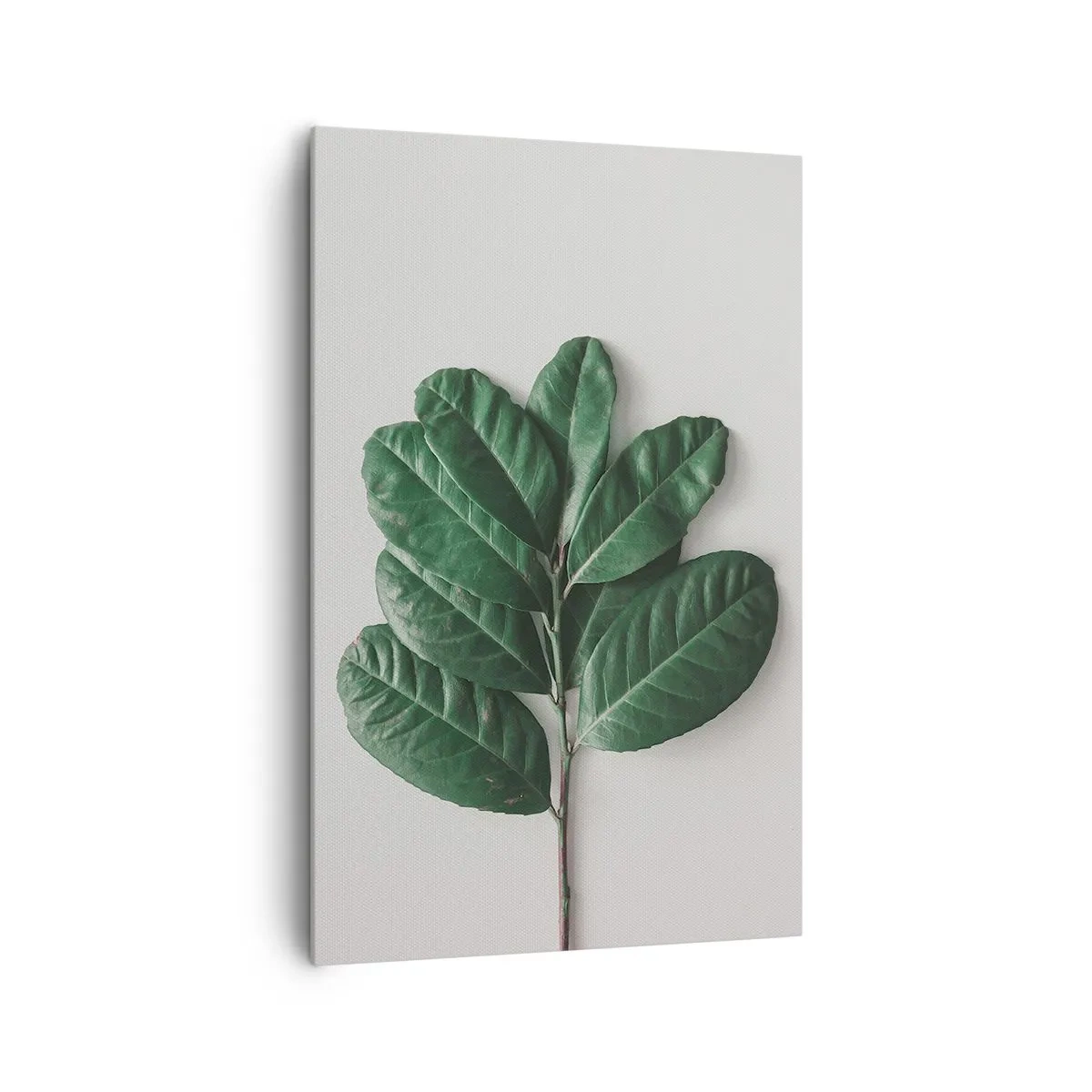 Lærredstryk - Billede på lærred - Tegning af selve naturen - 80x120 cm