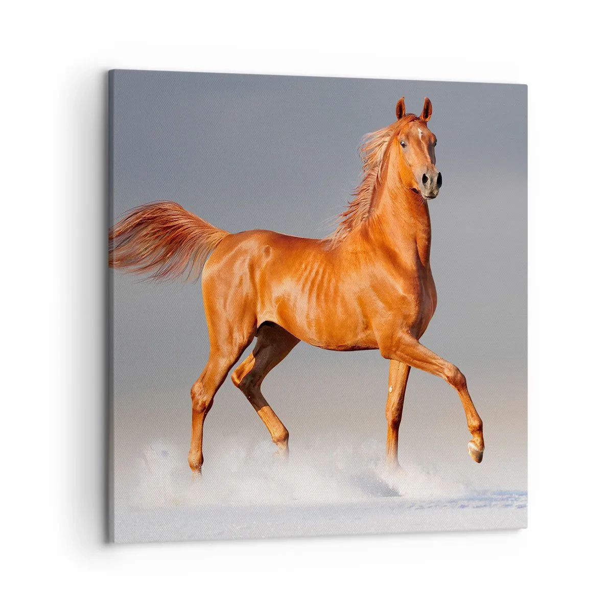 Lærredstryk - Billede på lærred - Dansende ynde - 50x50 cm