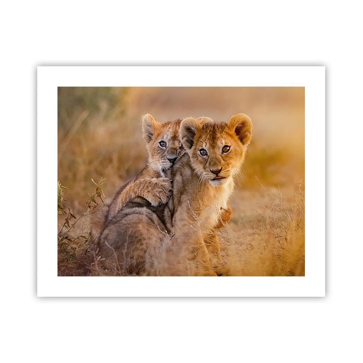 Plakat - Forstyr ikke! Vi har det sjovt - 50x40 cm