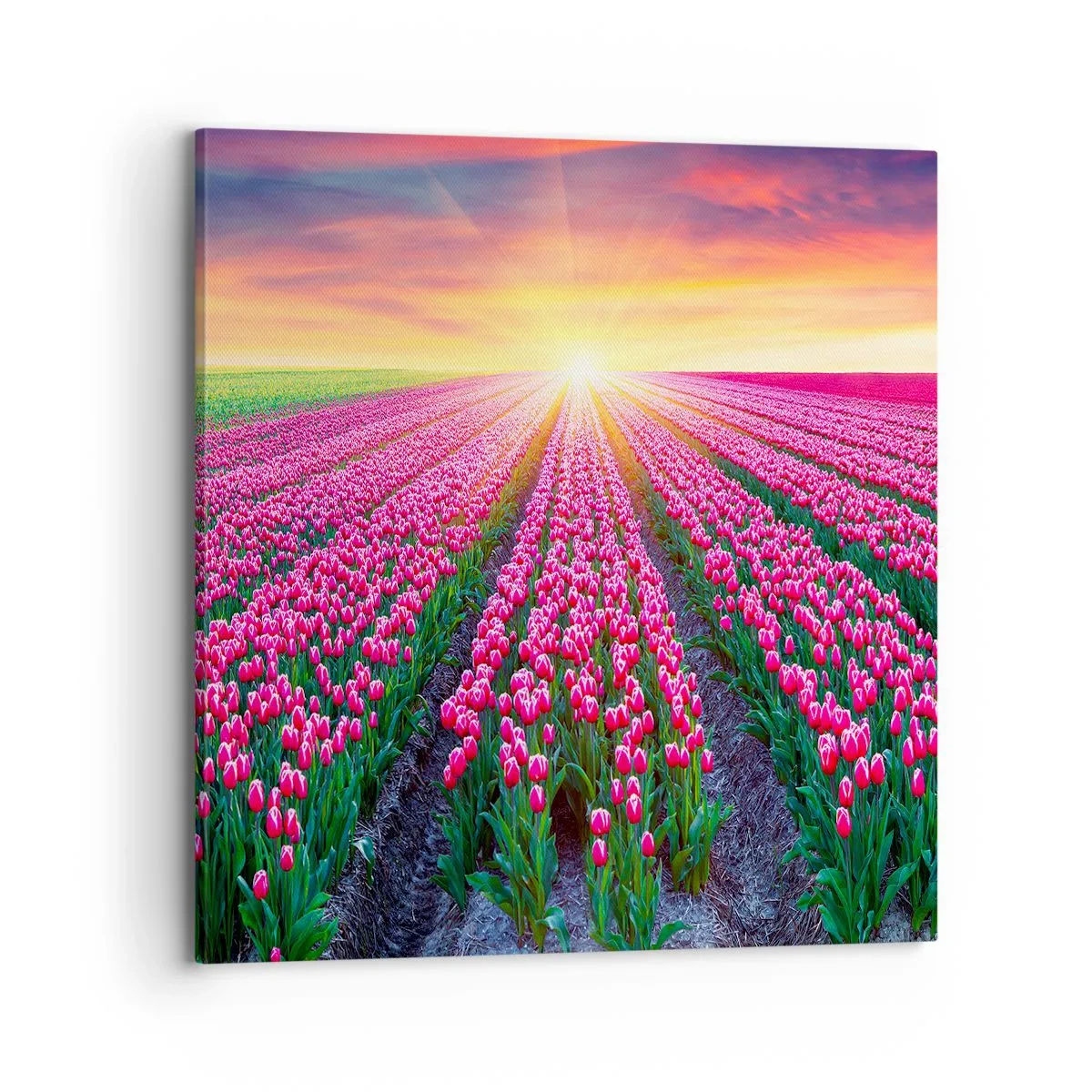 Lærredstryk - Billede på lærred - Skønhedsfarm - 70x70 cm