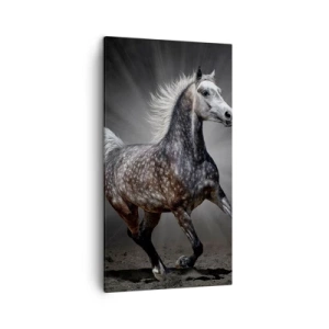Lærredstryk - Billede på lærred - Gråt er smukt - 45x80 cm