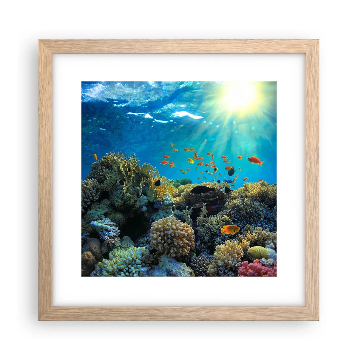 Plakat i ramme af lyst egetræ - Undervandsskatte - 30x30 cm
