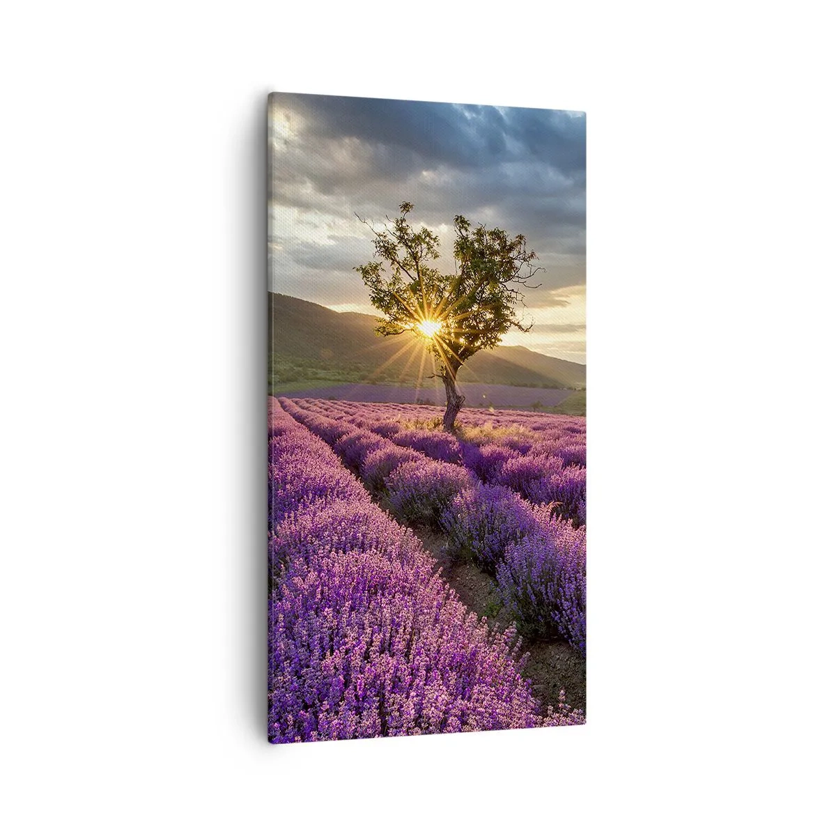 Lærredstryk - Billede på lærred - Lilla aroma - 55x100 cm
