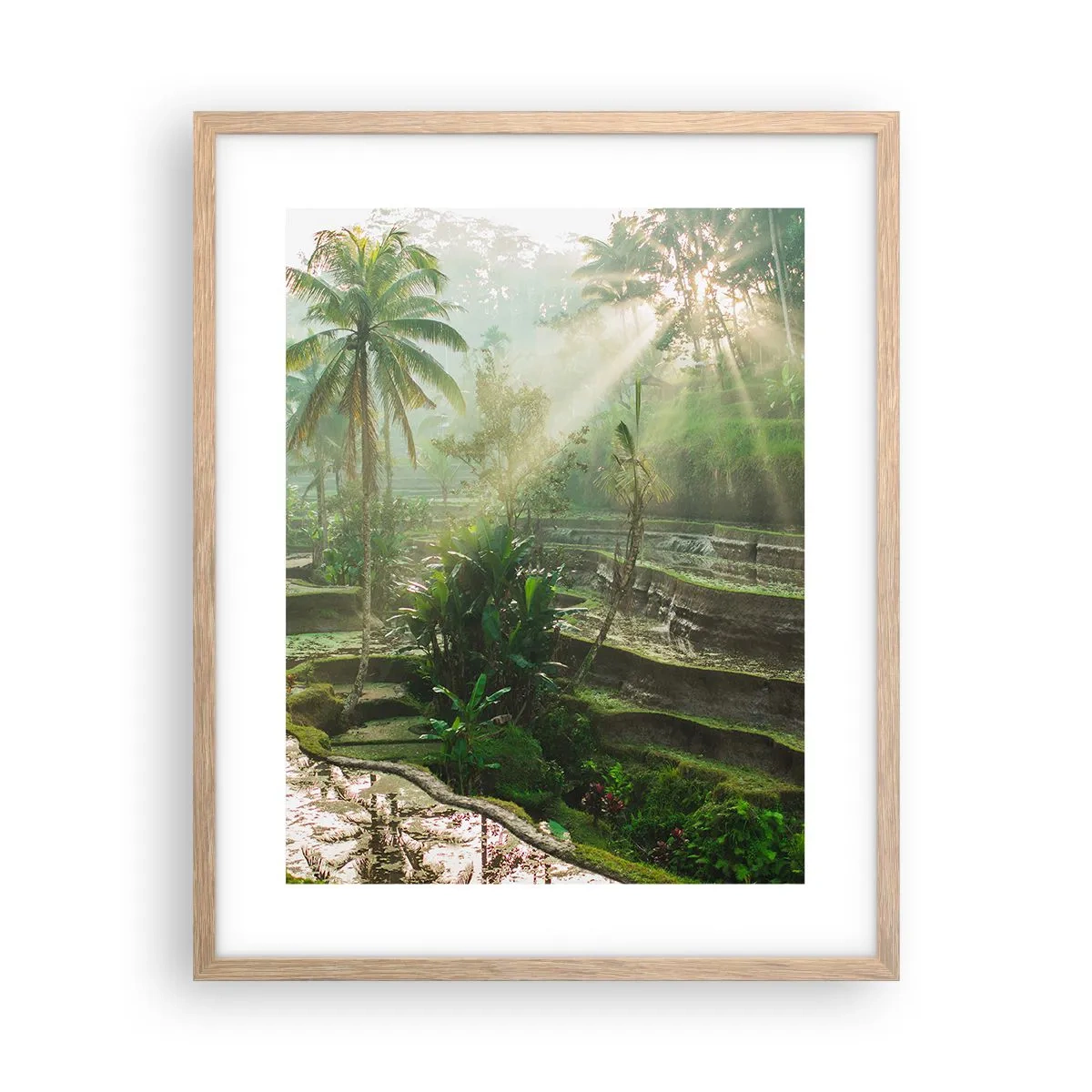 Plakat i ramme af lyst egetræ - Voksende op i solen - 40x50 cm