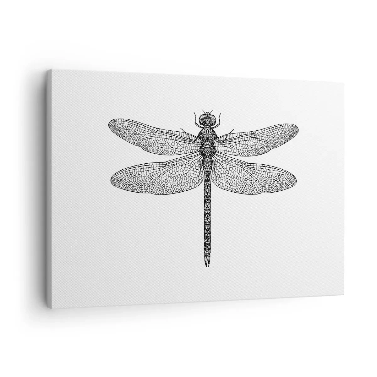 Lærredstryk - Billede på lærred - Sort-hvid tegning af en guldsmed på en hvid baggrund i minimalistisk stil - 70x50cm - Præcision i naturen - Moderne vægdekoration til stue og soveværelse ARTTOR