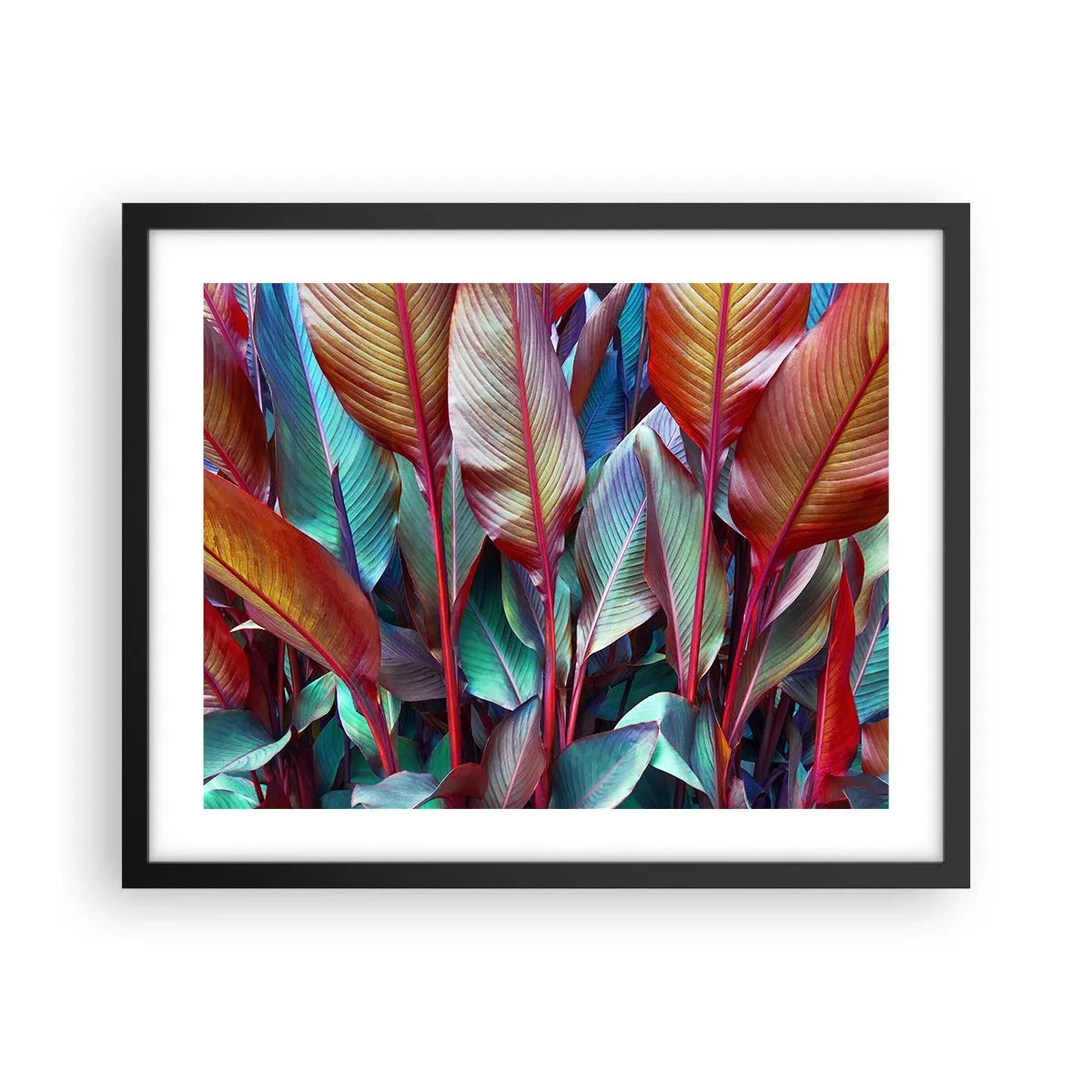 Plakat i sort ramme - Farverigt krat - 50x40 cm