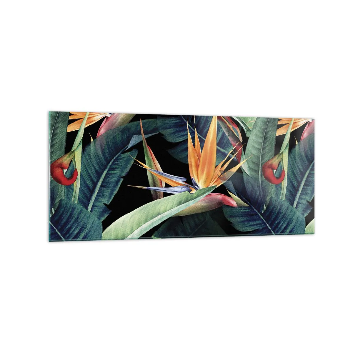Billede på glas - Flammeblomster i troperne - 120x50 cm