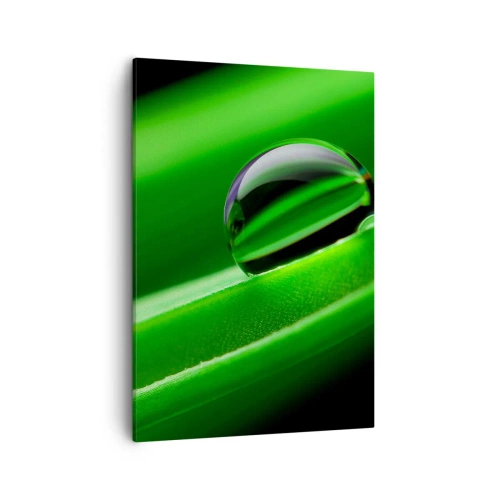 Lærredstryk - Billede på lærred - Livet på tæt hold - 50x70 cm