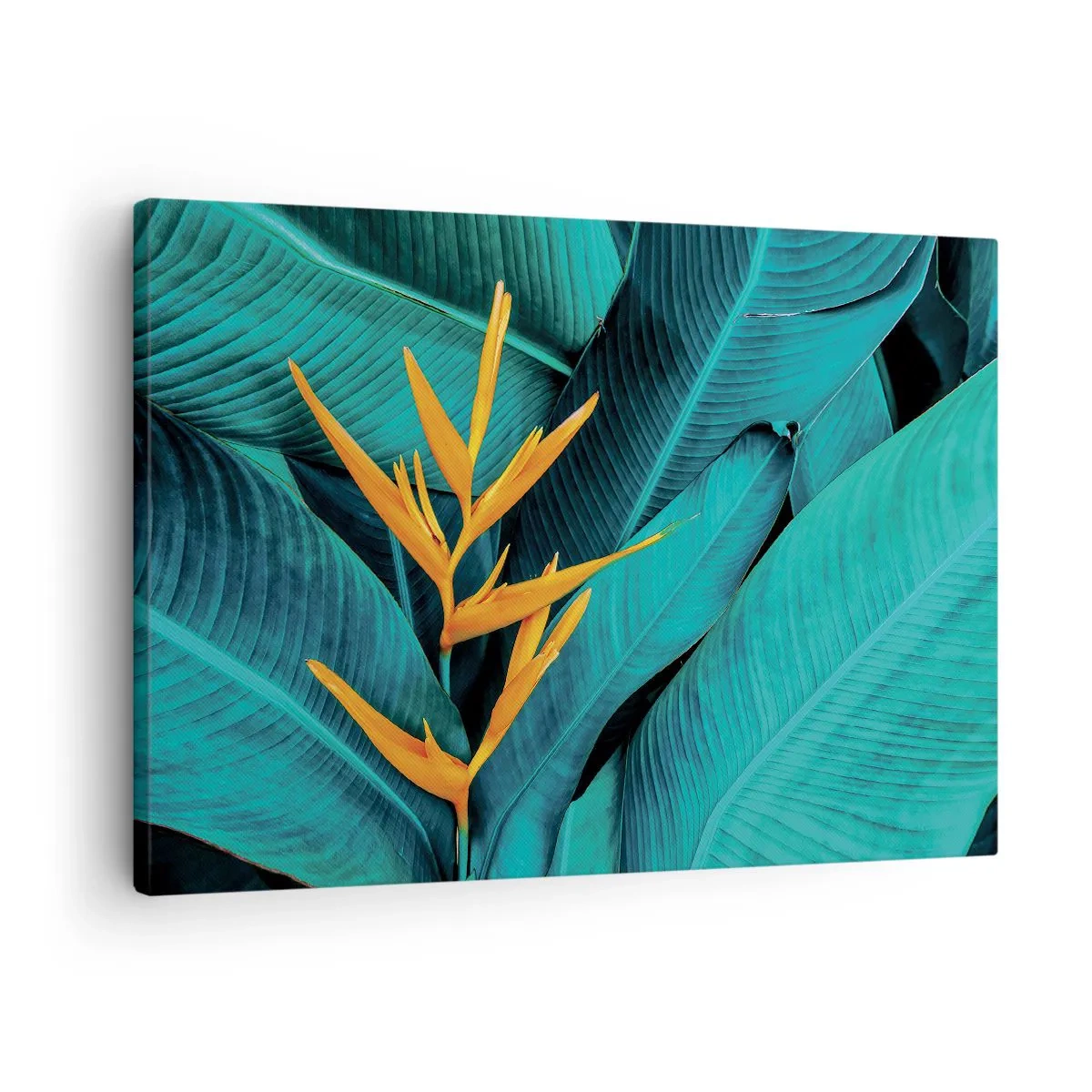 Lærredstryk - Billede på lærred - En eksotisk blomst på en baggrund af bananblade i turkise nuancer. - 70x50cm - Edens blomst - Moderne vægdekoration til stue og soveværelse ARTTOR