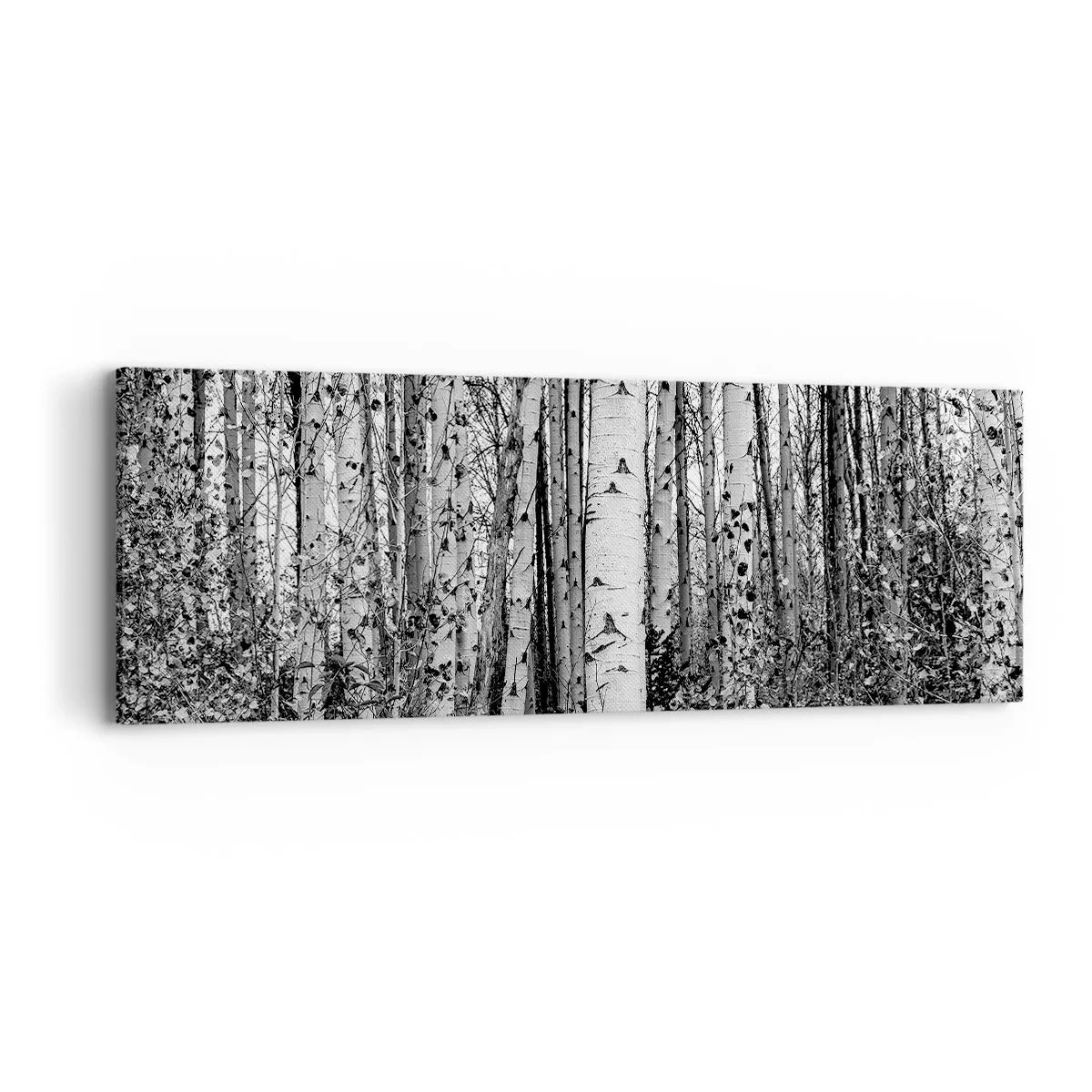 Lærredstryk - Billede på lærred - Kolonnade af birk - 90x30 cm