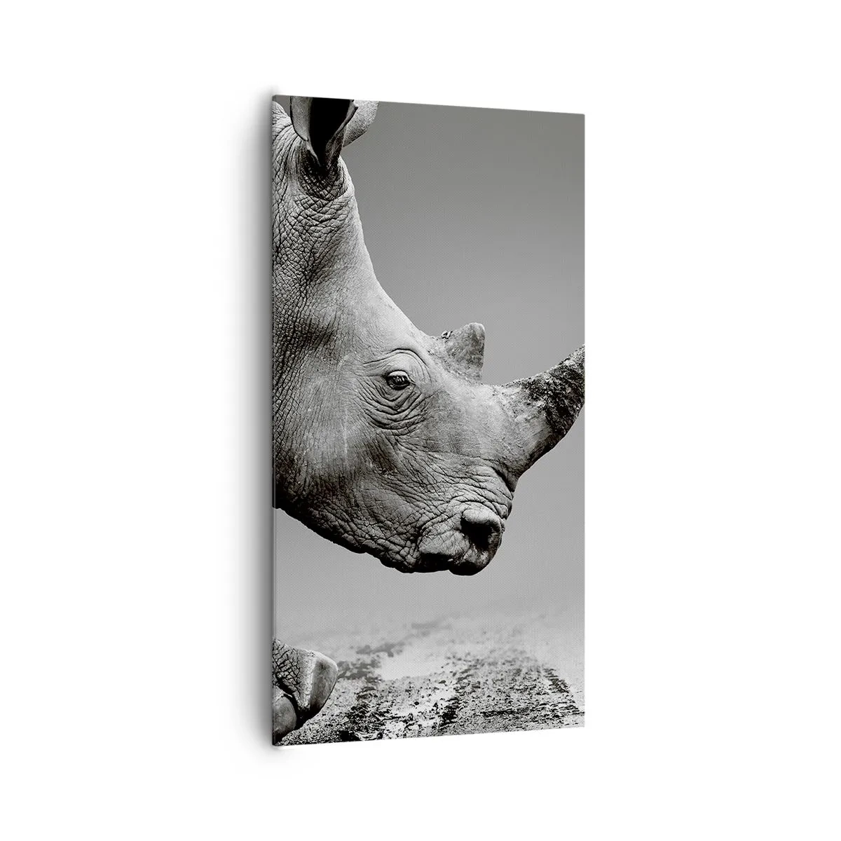 Lærredstryk - Billede på lærred - En ustoppeli - 65x120 cm